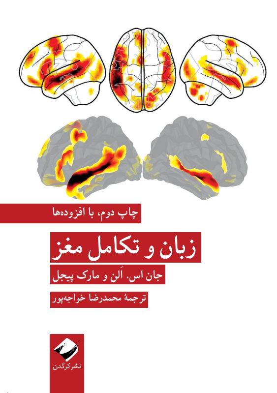 زبان و تکامل مغز