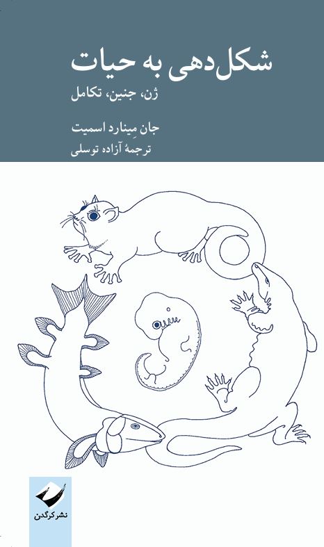 شکلدهی به حیات
